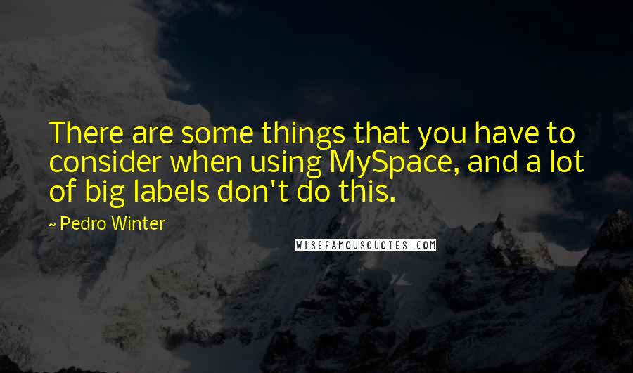 Pedro Winter Quotes: There are some things that you have to consider when using MySpace, and a lot of big labels don't do this.