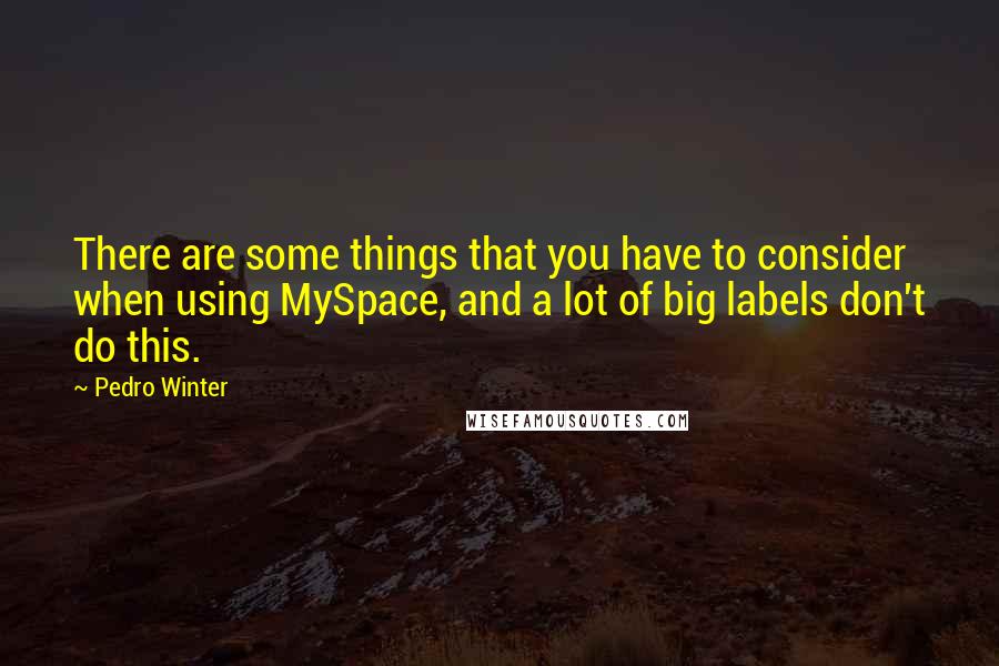 Pedro Winter Quotes: There are some things that you have to consider when using MySpace, and a lot of big labels don't do this.