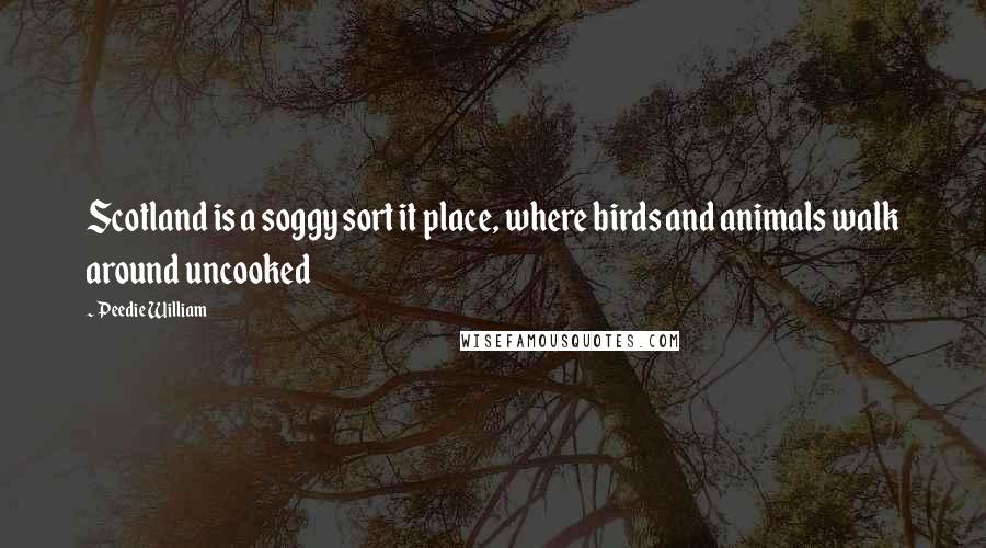 Peedie William Quotes: Scotland is a soggy sort it place, where birds and animals walk around uncooked
