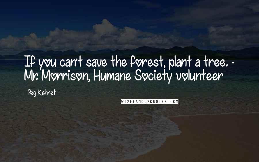 Peg Kehret Quotes: If you can't save the forest, plant a tree. - Mr. Morrison, Humane Society volunteer