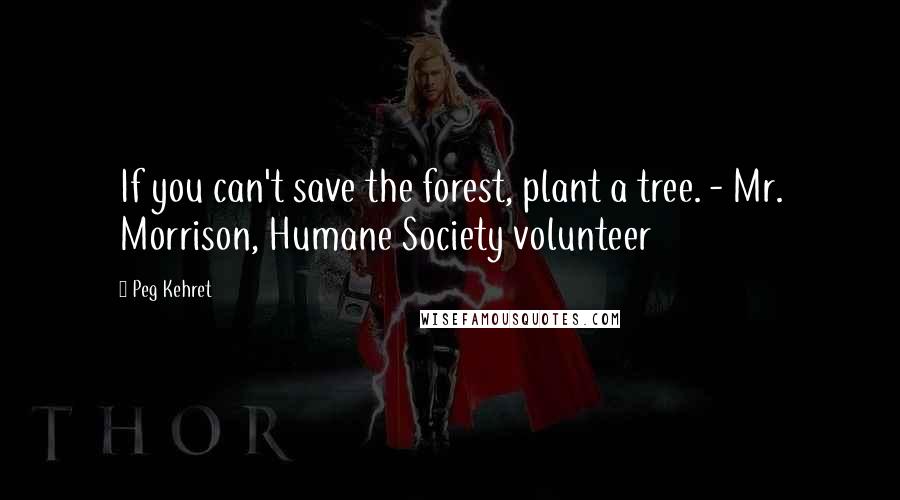 Peg Kehret Quotes: If you can't save the forest, plant a tree. - Mr. Morrison, Humane Society volunteer