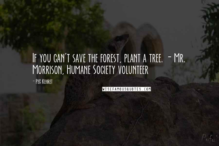 Peg Kehret Quotes: If you can't save the forest, plant a tree. - Mr. Morrison, Humane Society volunteer