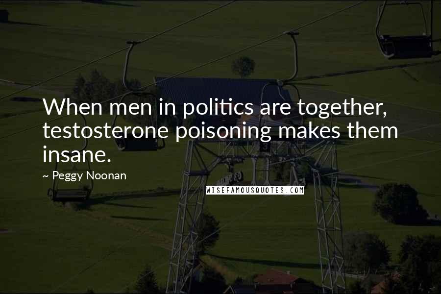 Peggy Noonan Quotes: When men in politics are together, testosterone poisoning makes them insane.