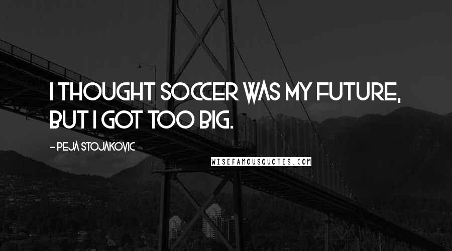 Peja Stojakovic Quotes: I thought soccer was my future, but I got too big.