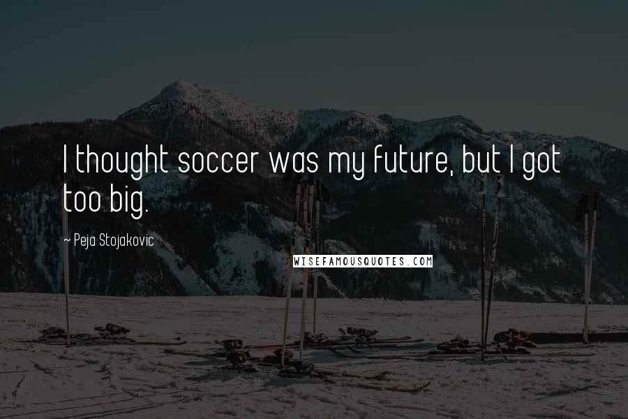 Peja Stojakovic Quotes: I thought soccer was my future, but I got too big.