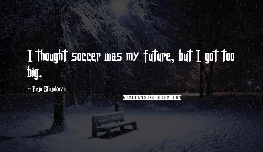 Peja Stojakovic Quotes: I thought soccer was my future, but I got too big.