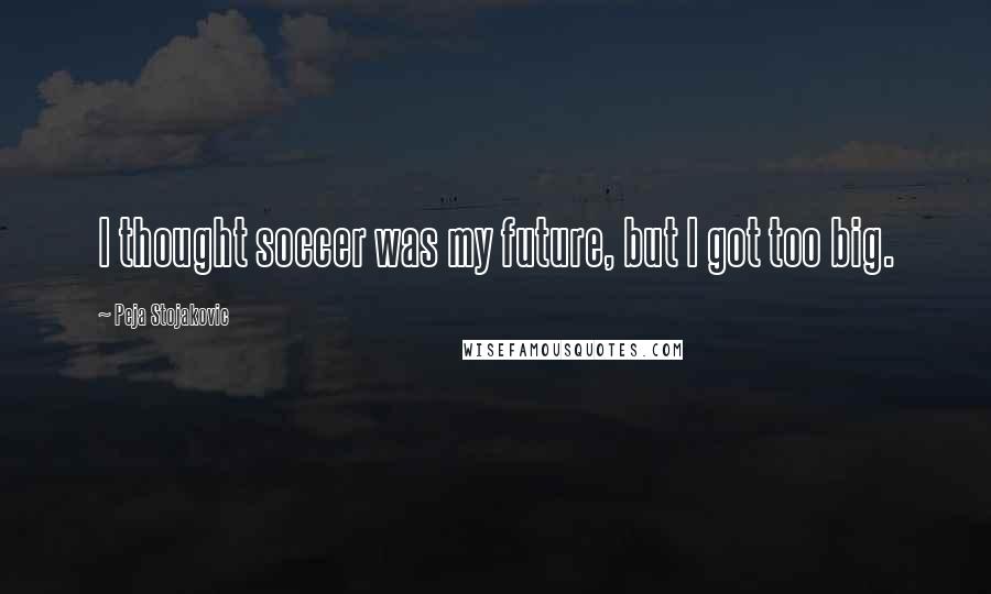 Peja Stojakovic Quotes: I thought soccer was my future, but I got too big.
