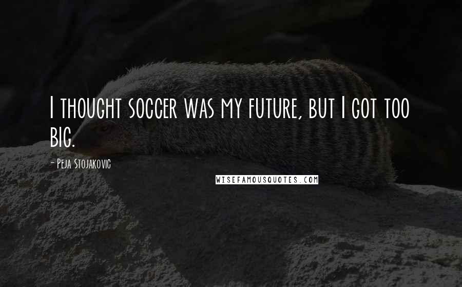Peja Stojakovic Quotes: I thought soccer was my future, but I got too big.
