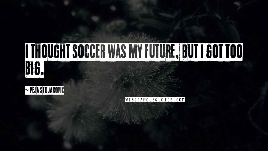 Peja Stojakovic Quotes: I thought soccer was my future, but I got too big.