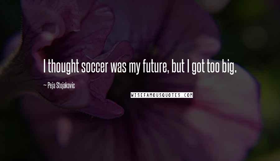 Peja Stojakovic Quotes: I thought soccer was my future, but I got too big.