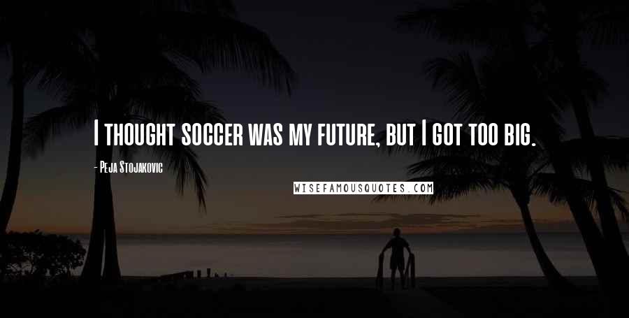 Peja Stojakovic Quotes: I thought soccer was my future, but I got too big.