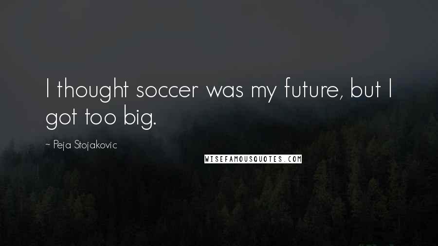 Peja Stojakovic Quotes: I thought soccer was my future, but I got too big.