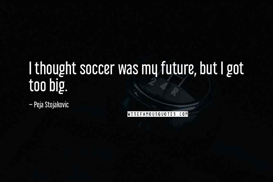 Peja Stojakovic Quotes: I thought soccer was my future, but I got too big.