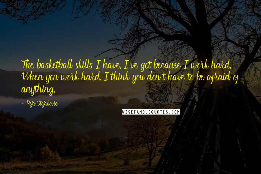 Peja Stojakovic Quotes: The basketball skills I have, I've got because I work hard. When you work hard, I think you don't have to be afraid of anything.