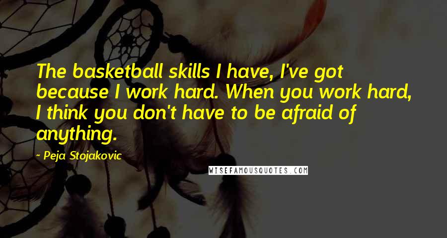 Peja Stojakovic Quotes: The basketball skills I have, I've got because I work hard. When you work hard, I think you don't have to be afraid of anything.