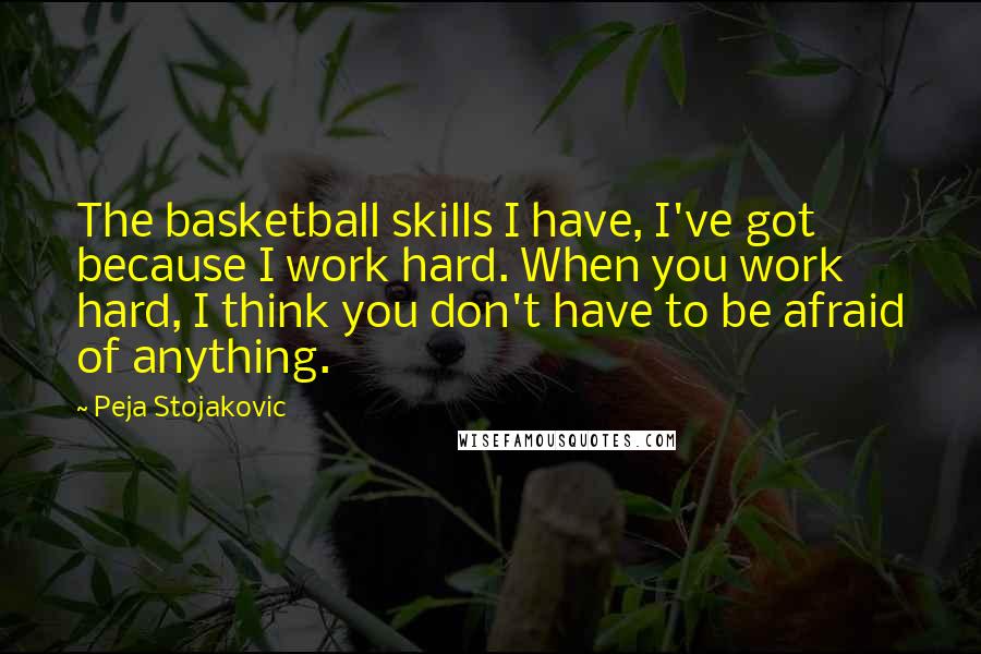 Peja Stojakovic Quotes: The basketball skills I have, I've got because I work hard. When you work hard, I think you don't have to be afraid of anything.