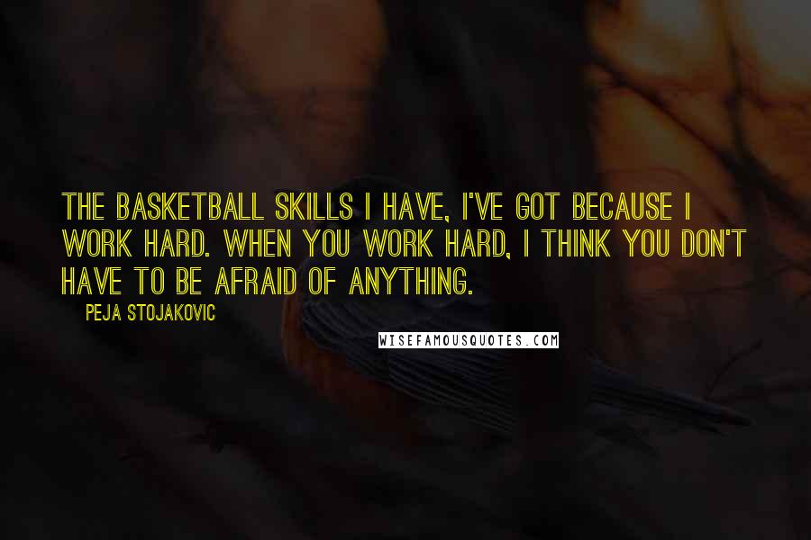 Peja Stojakovic Quotes: The basketball skills I have, I've got because I work hard. When you work hard, I think you don't have to be afraid of anything.