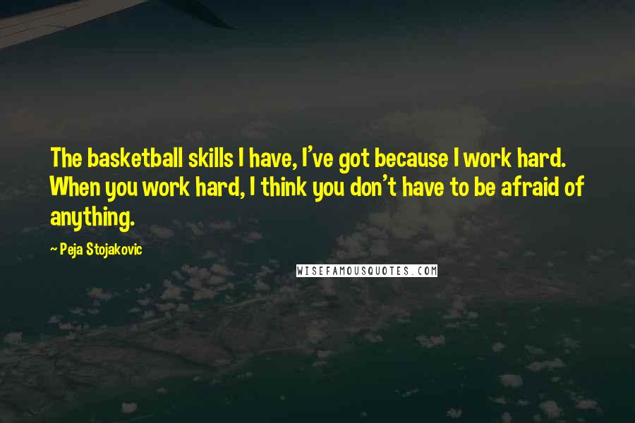 Peja Stojakovic Quotes: The basketball skills I have, I've got because I work hard. When you work hard, I think you don't have to be afraid of anything.