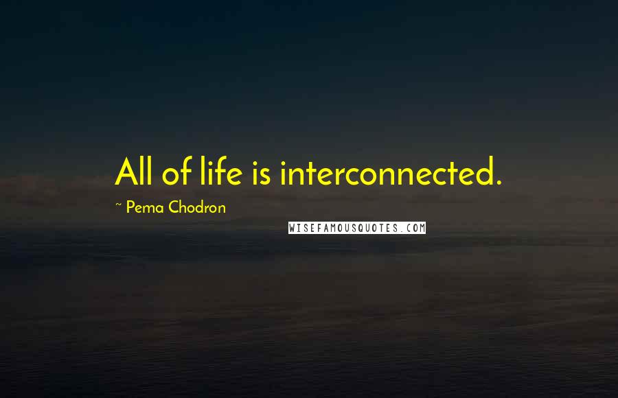 Pema Chodron Quotes: All of life is interconnected.