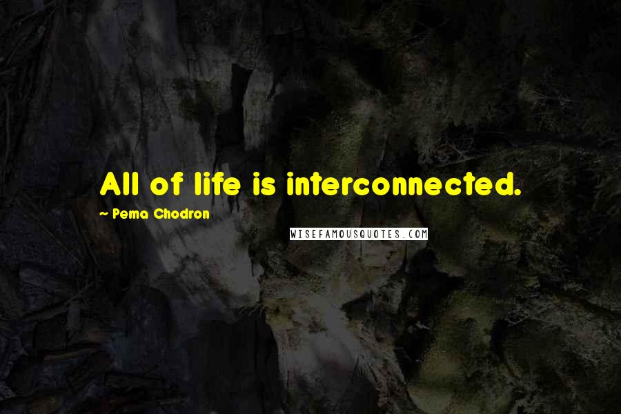 Pema Chodron Quotes: All of life is interconnected.