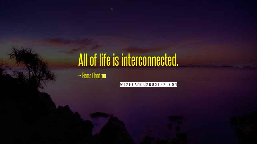 Pema Chodron Quotes: All of life is interconnected.