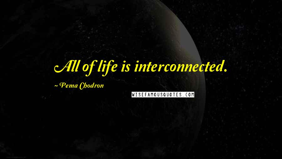 Pema Chodron Quotes: All of life is interconnected.