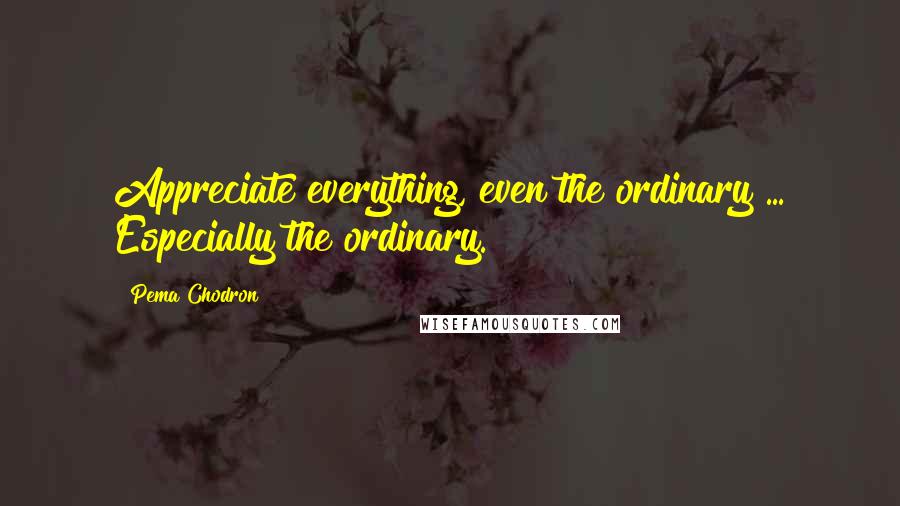 Pema Chodron Quotes: Appreciate everything, even the ordinary ... Especially the ordinary.