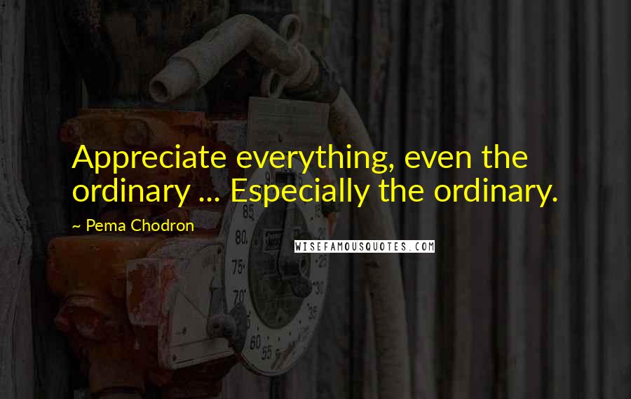 Pema Chodron Quotes: Appreciate everything, even the ordinary ... Especially the ordinary.