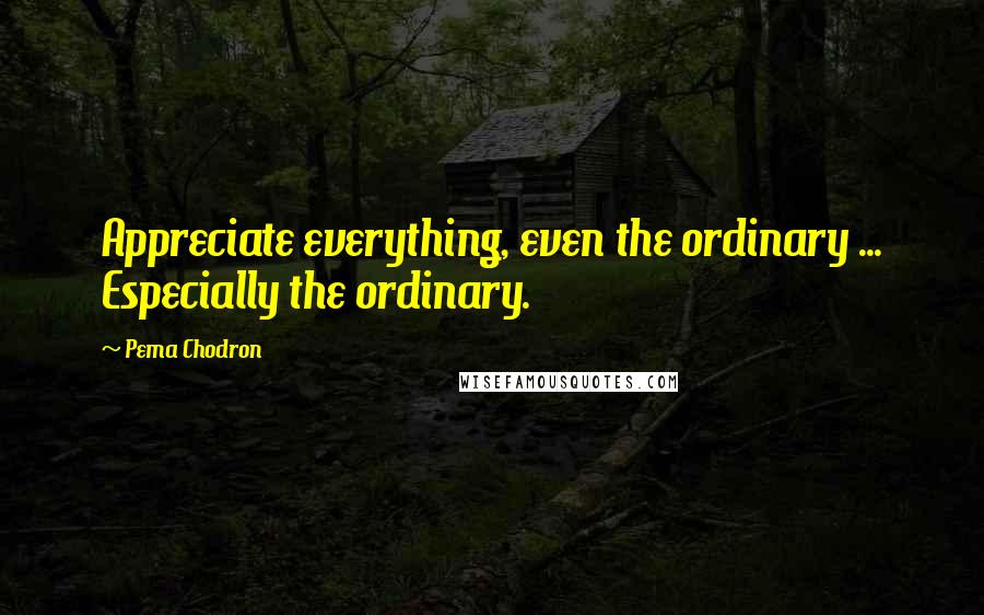 Pema Chodron Quotes: Appreciate everything, even the ordinary ... Especially the ordinary.