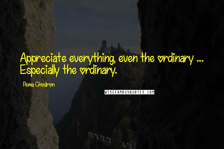 Pema Chodron Quotes: Appreciate everything, even the ordinary ... Especially the ordinary.