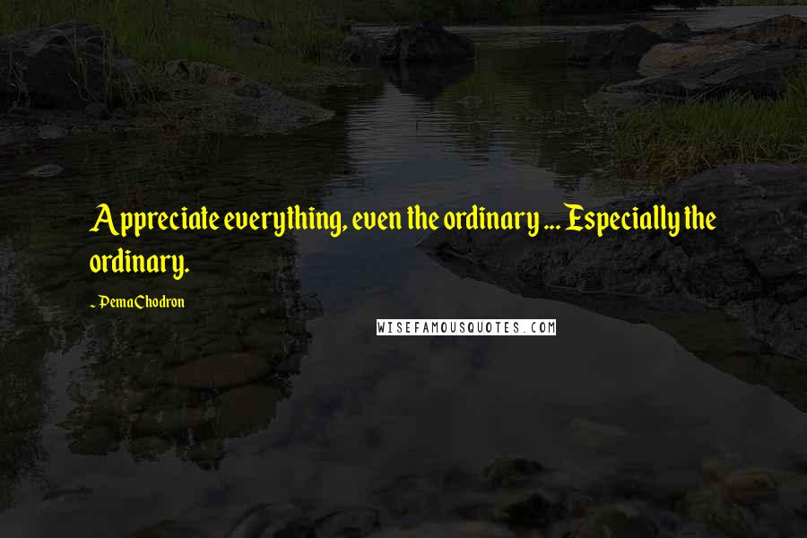 Pema Chodron Quotes: Appreciate everything, even the ordinary ... Especially the ordinary.