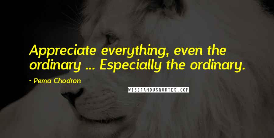 Pema Chodron Quotes: Appreciate everything, even the ordinary ... Especially the ordinary.