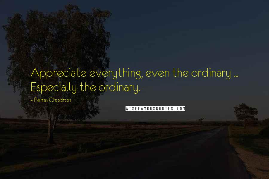 Pema Chodron Quotes: Appreciate everything, even the ordinary ... Especially the ordinary.