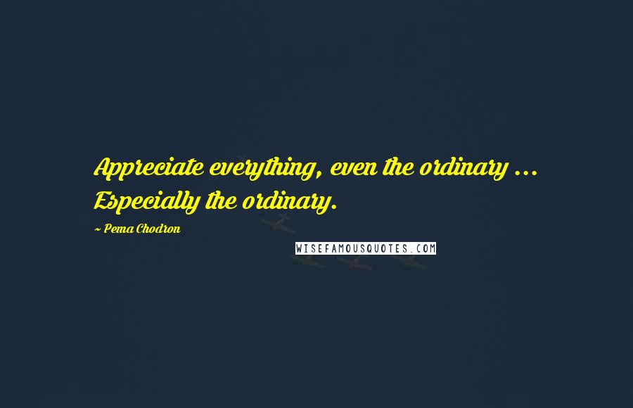 Pema Chodron Quotes: Appreciate everything, even the ordinary ... Especially the ordinary.