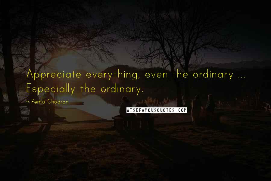 Pema Chodron Quotes: Appreciate everything, even the ordinary ... Especially the ordinary.