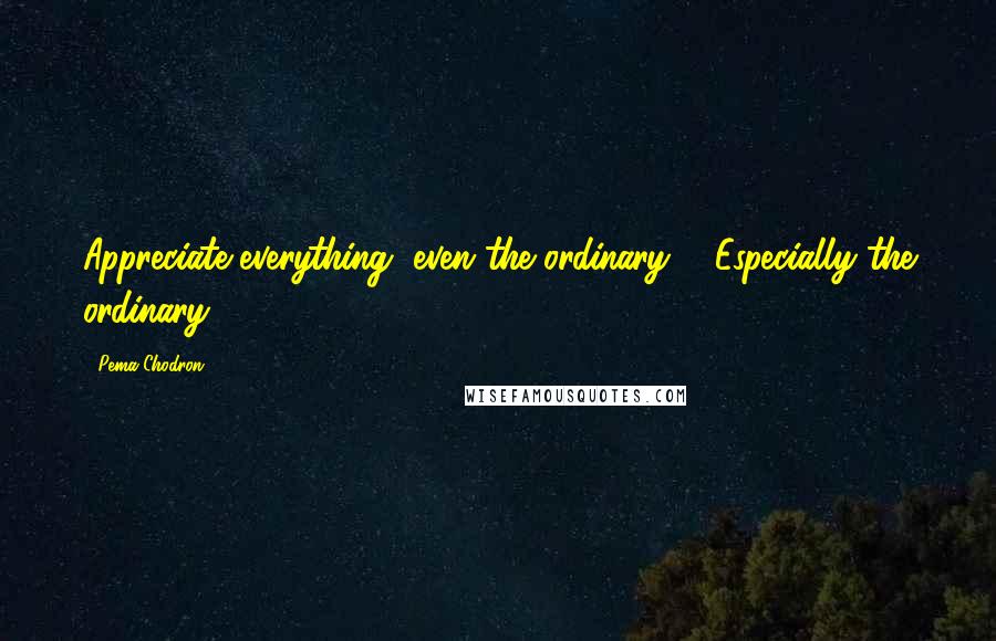 Pema Chodron Quotes: Appreciate everything, even the ordinary ... Especially the ordinary.