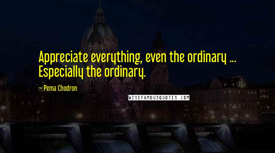 Pema Chodron Quotes: Appreciate everything, even the ordinary ... Especially the ordinary.