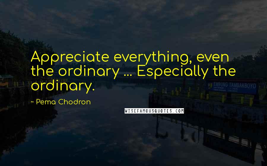 Pema Chodron Quotes: Appreciate everything, even the ordinary ... Especially the ordinary.