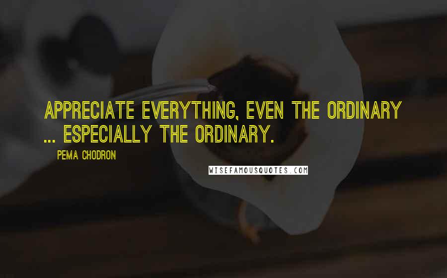 Pema Chodron Quotes: Appreciate everything, even the ordinary ... Especially the ordinary.