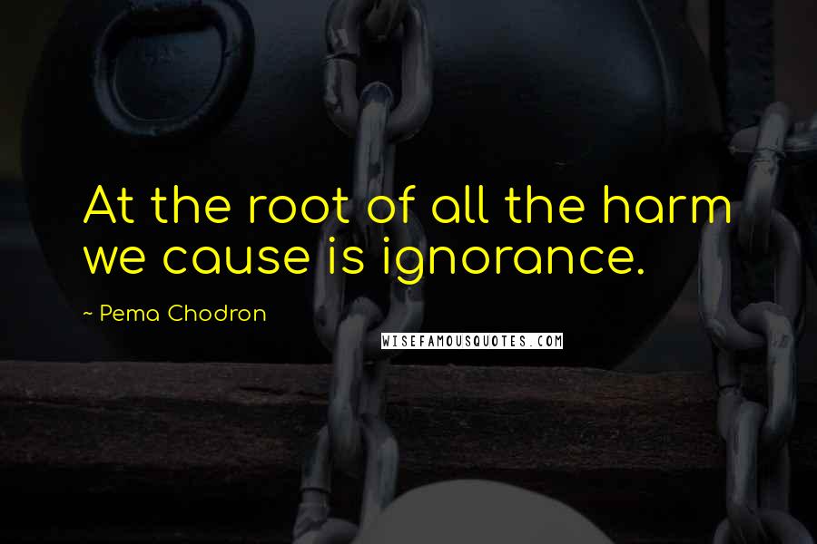 Pema Chodron Quotes: At the root of all the harm we cause is ignorance.