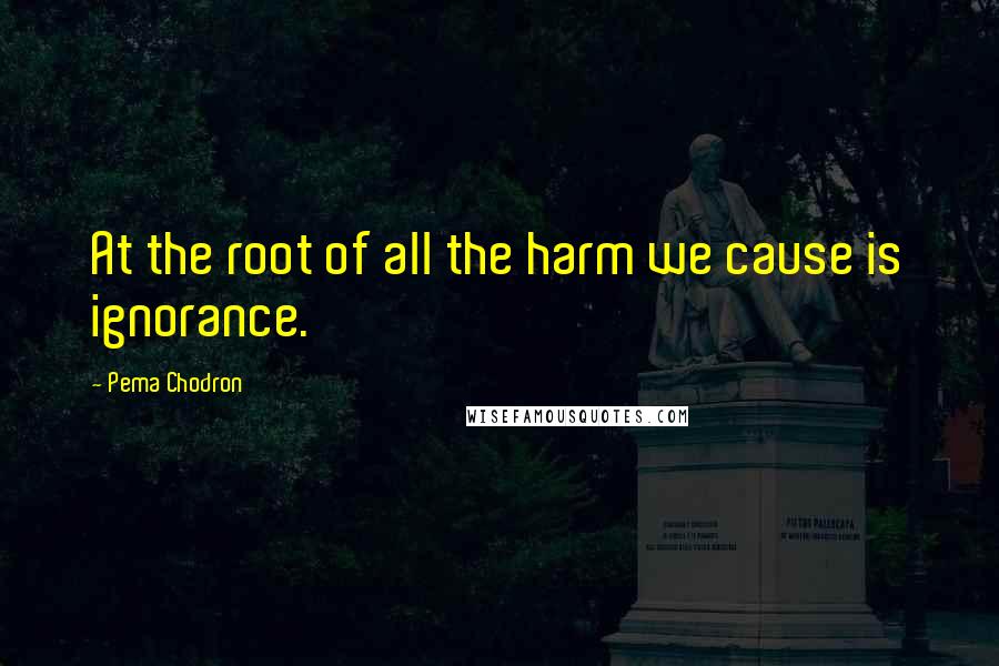 Pema Chodron Quotes: At the root of all the harm we cause is ignorance.