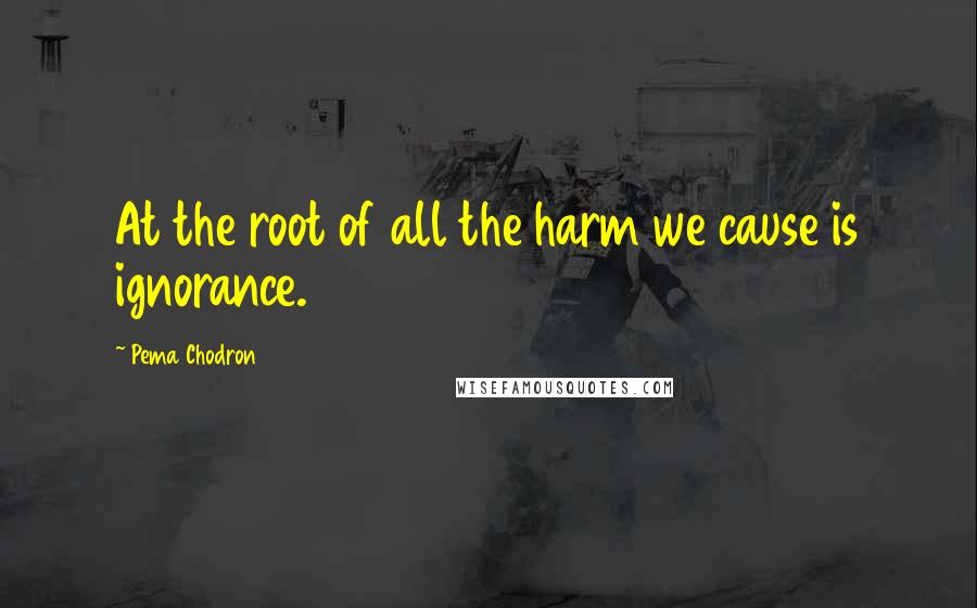 Pema Chodron Quotes: At the root of all the harm we cause is ignorance.