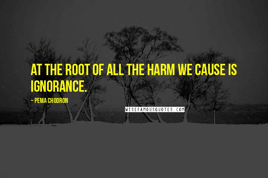 Pema Chodron Quotes: At the root of all the harm we cause is ignorance.