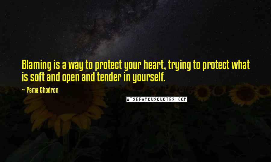 Pema Chodron Quotes: Blaming is a way to protect your heart, trying to protect what is soft and open and tender in yourself.