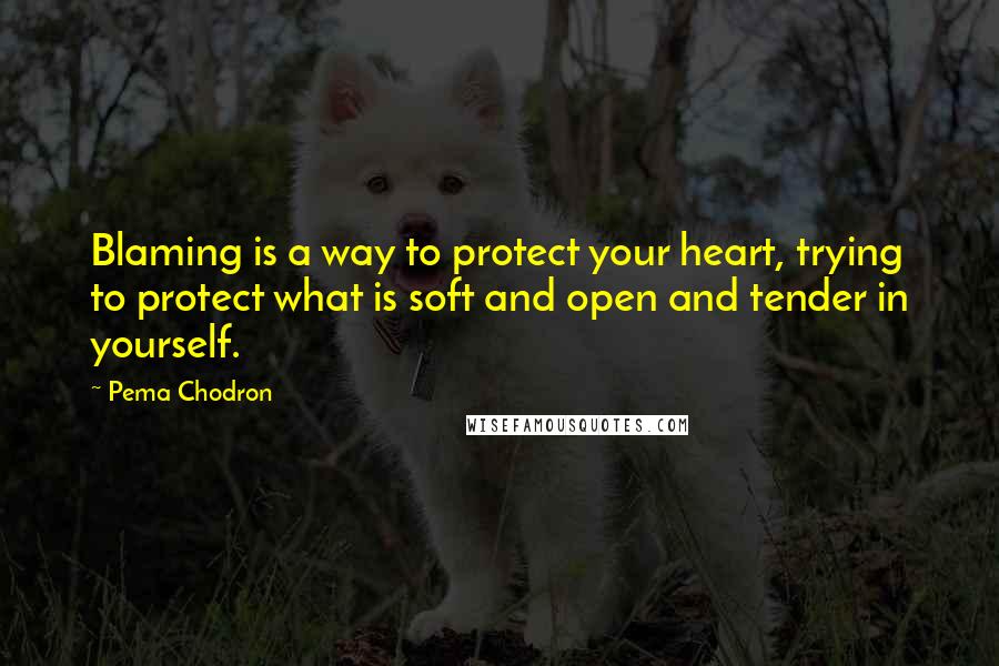 Pema Chodron Quotes: Blaming is a way to protect your heart, trying to protect what is soft and open and tender in yourself.