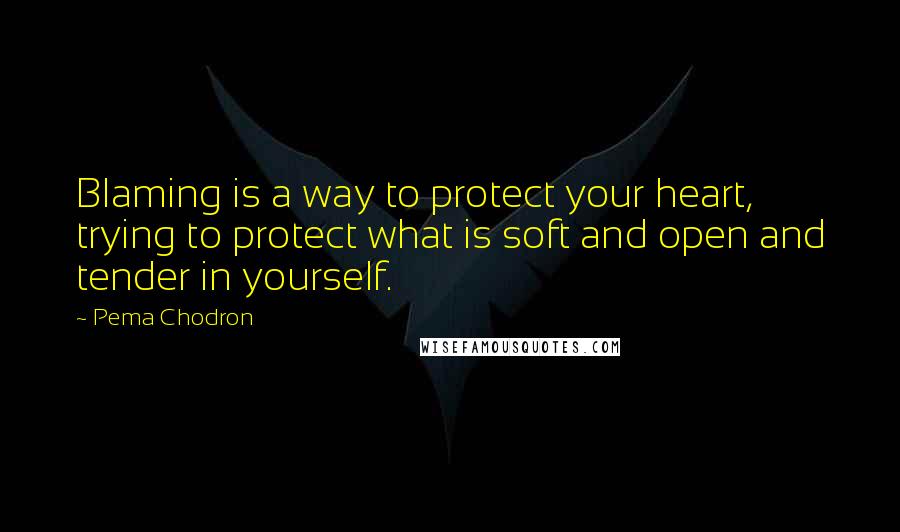 Pema Chodron Quotes: Blaming is a way to protect your heart, trying to protect what is soft and open and tender in yourself.