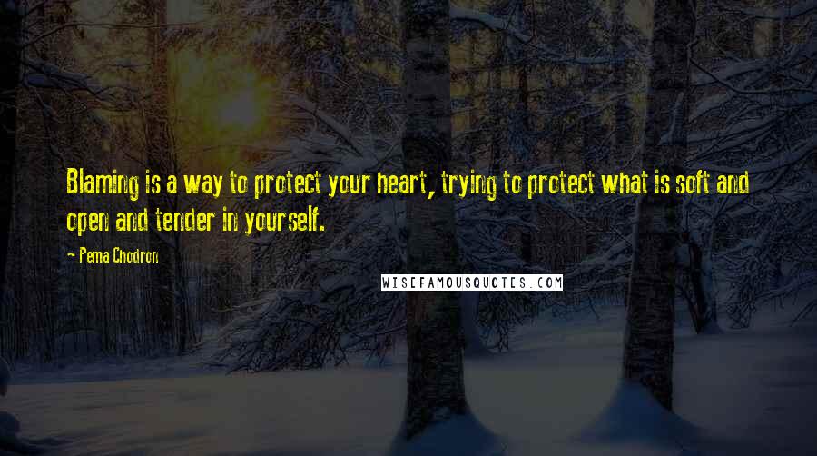 Pema Chodron Quotes: Blaming is a way to protect your heart, trying to protect what is soft and open and tender in yourself.