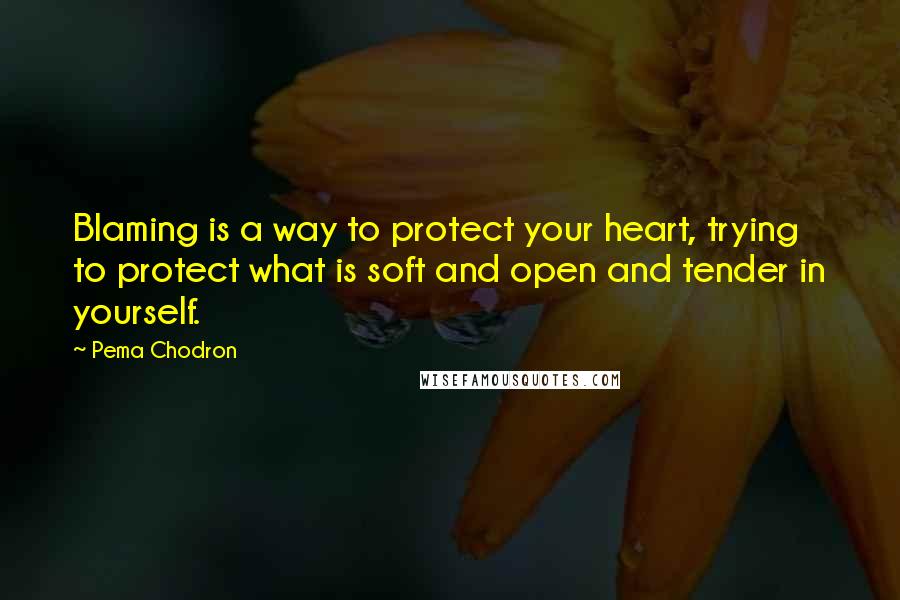 Pema Chodron Quotes: Blaming is a way to protect your heart, trying to protect what is soft and open and tender in yourself.