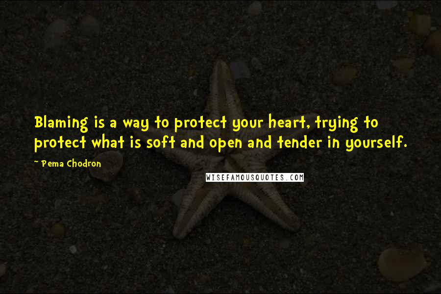 Pema Chodron Quotes: Blaming is a way to protect your heart, trying to protect what is soft and open and tender in yourself.