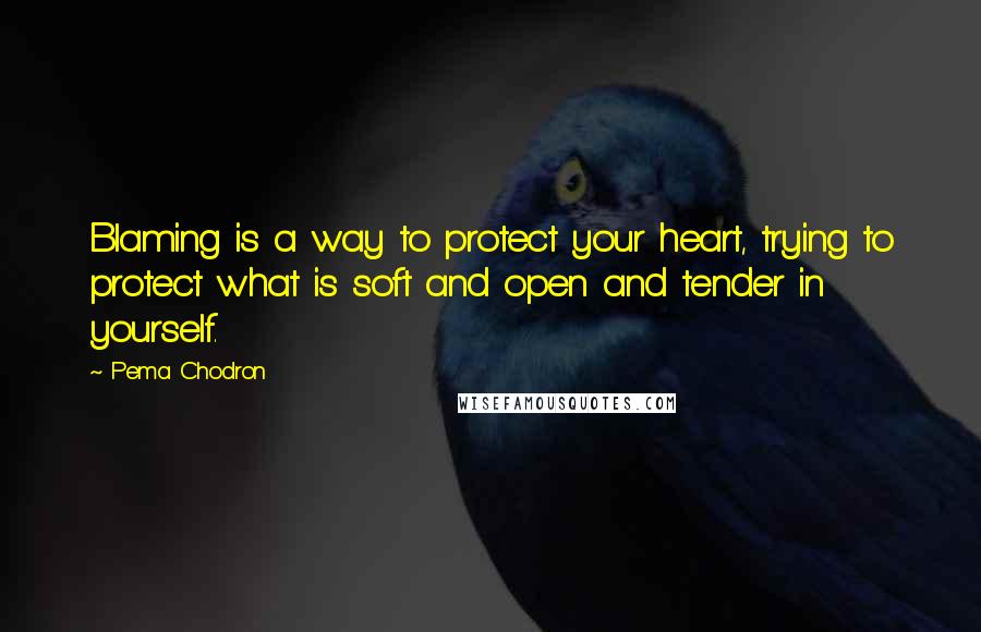 Pema Chodron Quotes: Blaming is a way to protect your heart, trying to protect what is soft and open and tender in yourself.
